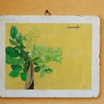 Tendapiccola 农家乐