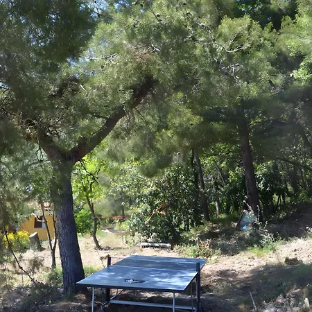 Tendapiccola