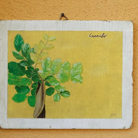 Tendapiccola Vakantieboerderij *